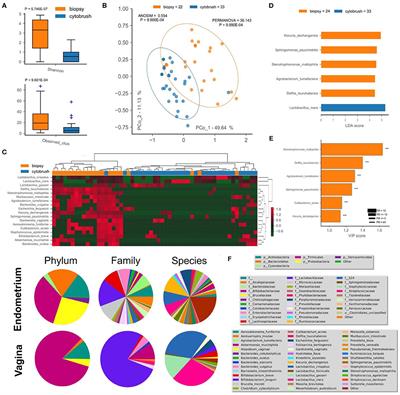 Structural Variations of Vaginal and Endometrial Microbiota: Hints on Female Infertility